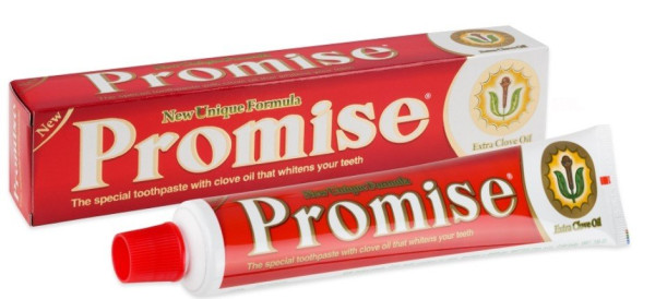 Zubní Pasta PROMISE fluorid-máta 100g (1)