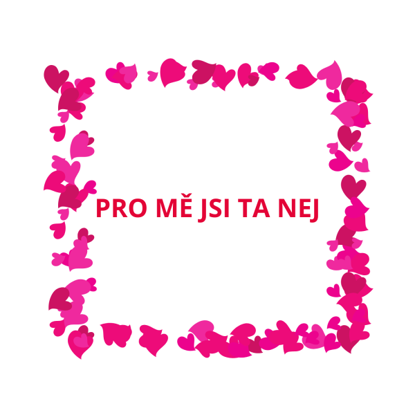 Polštář 40×40 cm „Pro mě jsi ta nej…“ (1)