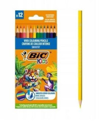 Pastelky BIC 12 barev